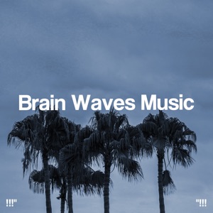 Brain Waves Music