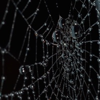 DROP IT OFF (feat. SKYMANE) - Single - Watermane