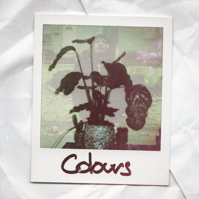 Colours - Single