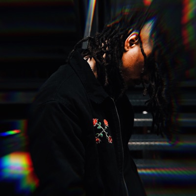 Let It Fall - Single