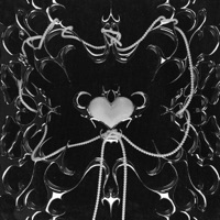 Tm2 - Single - Palboy