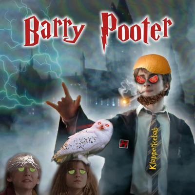 Barry Pooter - Single