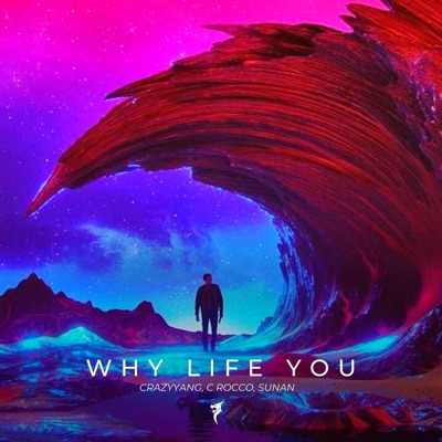 Why Life You - Single