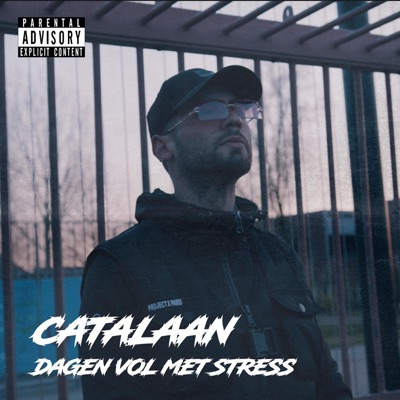 Dagen Vol Met Stress - Single