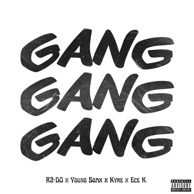 GANG GANG GANG (feat. Young Soax, Kyre & Ece K) - Single