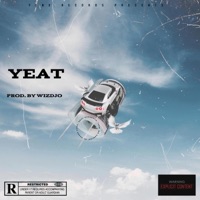 Album cover for YEAT (Instrumental) [Instrumental] - Single by Wizdjo