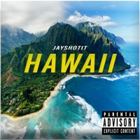 Hawaii - Single - Jayshotit