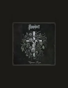 йорветを聴いたり、ミュージックビデオを鑑賞したり、経歴やツアー日程などを確認したりしましょう！