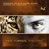 Within My Dreams - Single - Bogdan Vix & Claudiu Adam