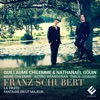 Marie Chilemme Piano Quintet in A Major, Op. 114, D. 667 "The Trout": I. Allegro vivace Schubert: Piano Quintet, D. 667 "The Trout" & Fantasy in C Major, D. 934