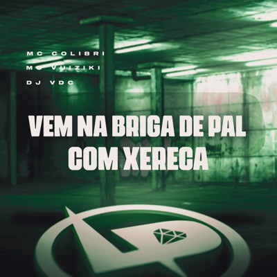 Vem na Briga de Pal Com Xereca - Single