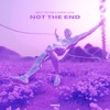 Not the End - Single