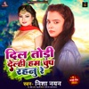 Dil Todi Delhi Ham Chup Rahani Re - Single