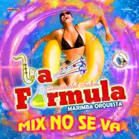 Mix No Se Va — La Formula Marimba Orquesta