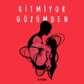 Gitmiyor Gözümden artwork