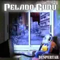 DESPERTAR