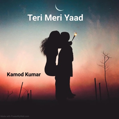 Teri Meri Yaad - Single