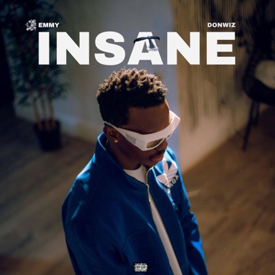 Insane - Single