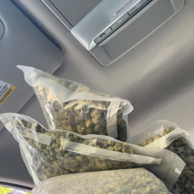 Autum Nights - Single