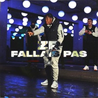 Fallais pas - Single - Zr