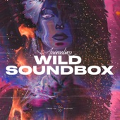 Wild Soundbox (feat. WAYVES) artwork