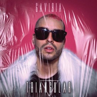 Triangular - Single - Gaviria