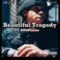 Beautiful Tragedy (Explicit Version) - Single - PDGPeanut