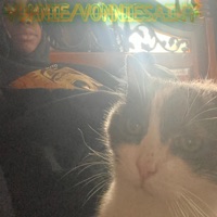 Vonniesaint - vonniesaint