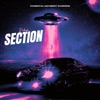 Section - Single