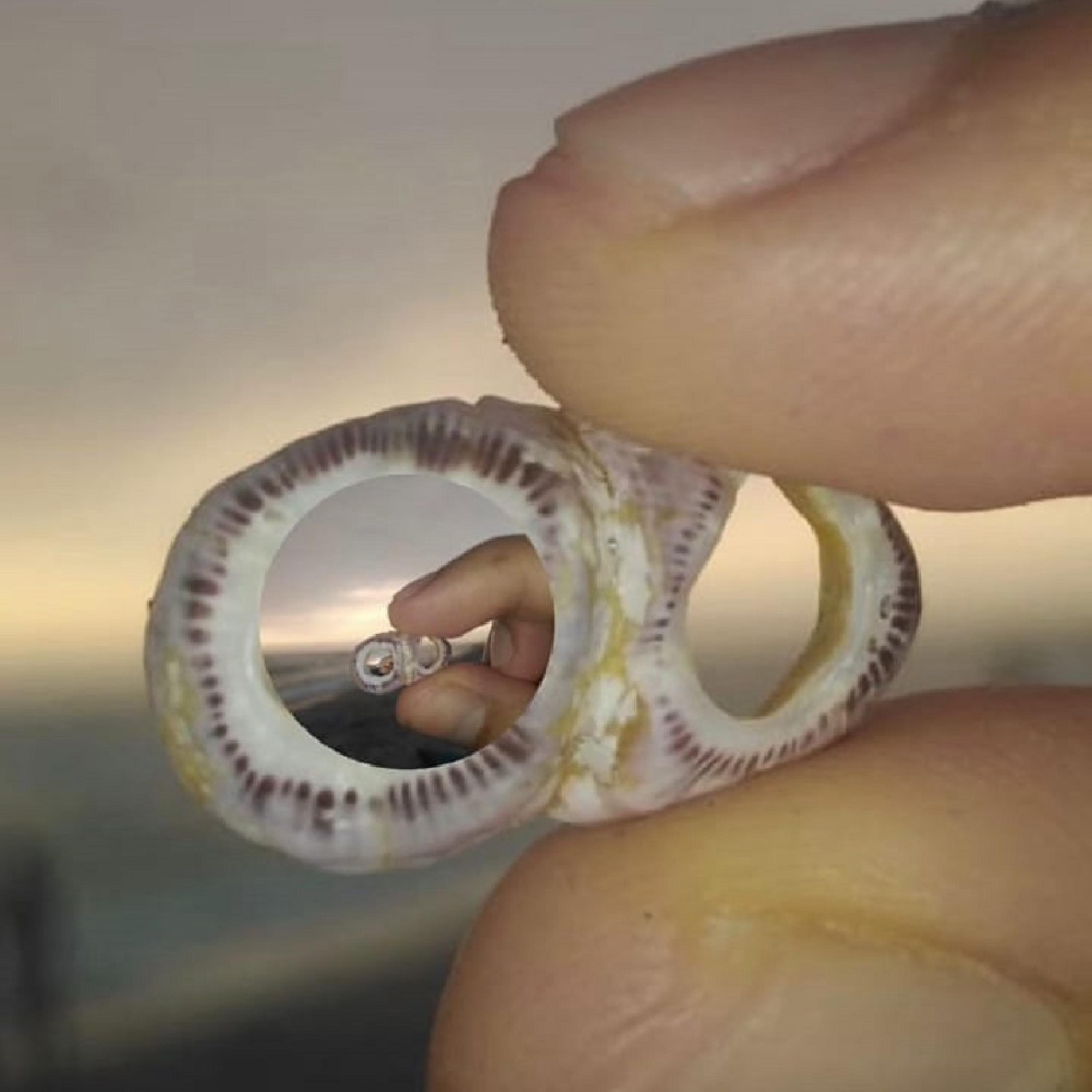 AutoDJ: Muu - Nena (feat. Diego Rodriguez)