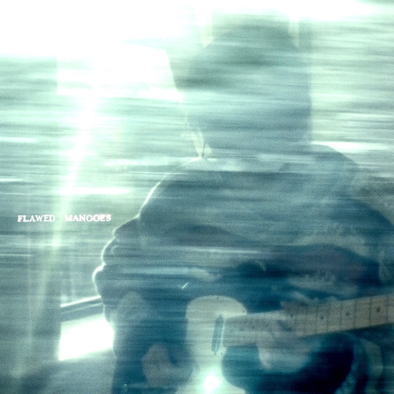 The Beginning Flawed Mangoes Song Lyrics, Music Videos & Concerts