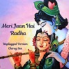 Meri Jaan Hai Radha Unplugged (Special Version) - Single