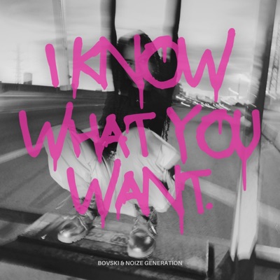 I Know What You Want - Single
