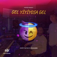 Gel Yiyiyosa Gel (feat. Taha Berk) - Single - Kadir Taştan