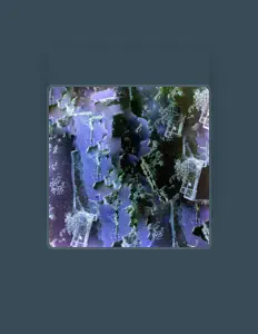 Listen to Cycling Delights, watch music videos, read bio, see tour dates & more!