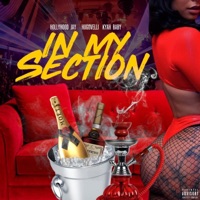 In My Section (feat. Hugovelli & Kyah Baby) - Single - HollyHood Jay
