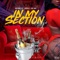 In My Section (feat. Hugovelli & Kyah Baby) - HollyHood Jay lyrics