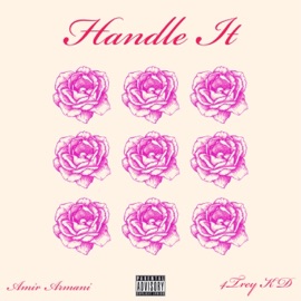 Handle It (feat. 4Trey KD) Amir Armani