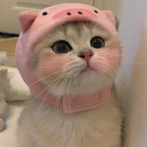 ตาจ้องตา (feat. CHXID!) [Sped up]