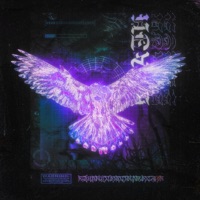 BROKEN NIGHT - Single - KIR1IXCHE