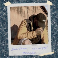 I'm Not Ok - Single - Junior Pasare