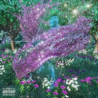 P***y Control - Single - Овердоз & Трувонт