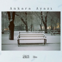 Ankara Ayazı - Single - Geceyi Kurtar & Zibo