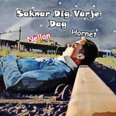 Saknar Dig Varje Dag (feat. Nellan) artwork