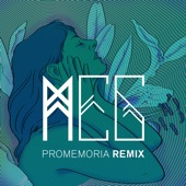 Promemoria (Pink Holy Days Remix) artwork