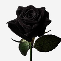 Mi Oración (feat. young cherry & Alonso El Menor) - Single - Yerko Volatik