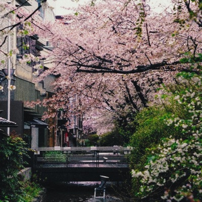 Mostly Grey (feat. Key Z) - Single