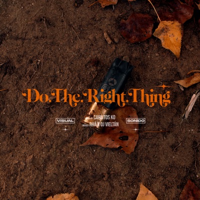 Do The Right Thing - Single