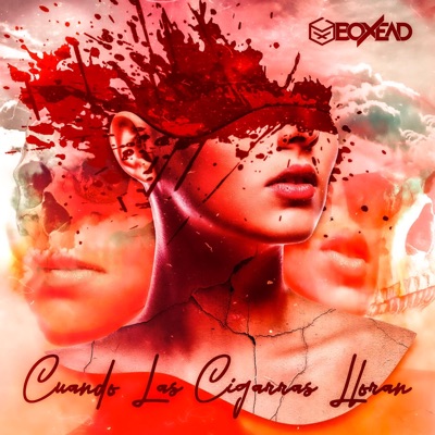 Cuando Las Cigarras Lloran - Single