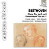 Beethoven: Gassenhauer-Trio, Op.11